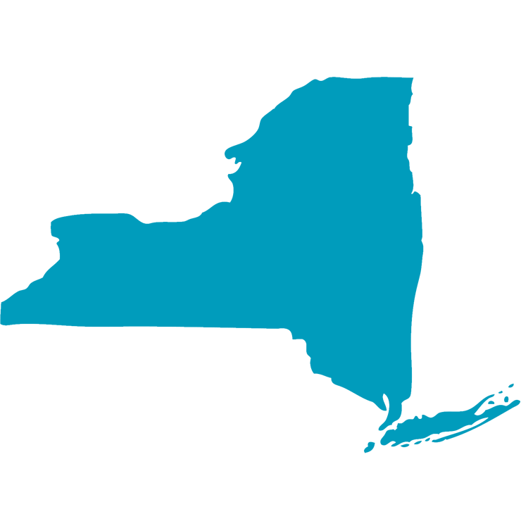 Elevens in New York — three of eleven